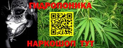 не бодяженный Ставрополь