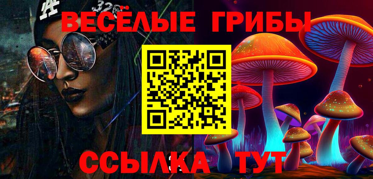 Псилоцибиновые грибы прущие грибы Норильск